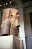 bm-egypt3