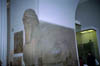 bm-egypt5