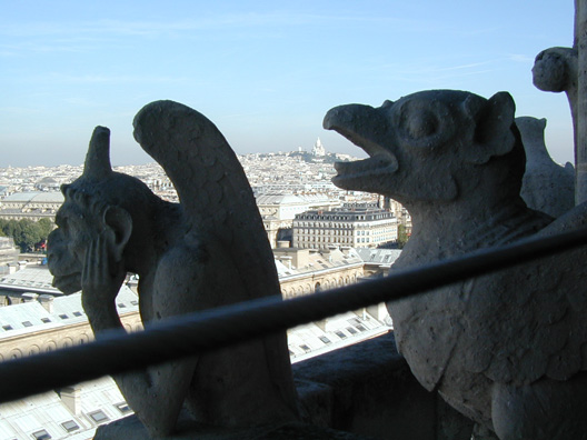 P9230523