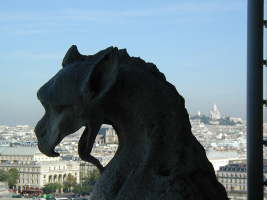 P9230532